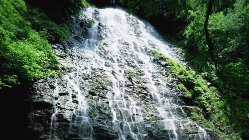 高效智能科技